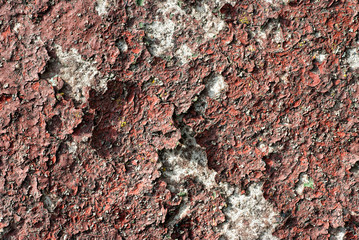 texture of the old stucco wall with cracks