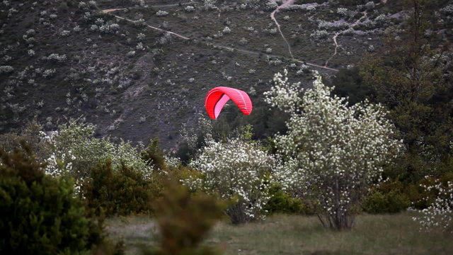 red glider fly out