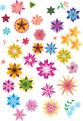 set of bright color flowers