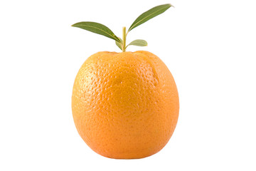 orange with leaves