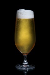Beer in Glass
