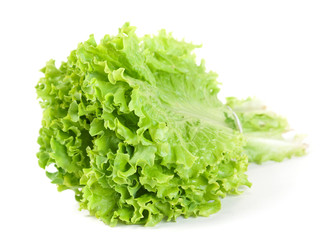 Lettuce leaf bunch