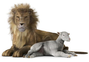 Obraz premium lion and lamb