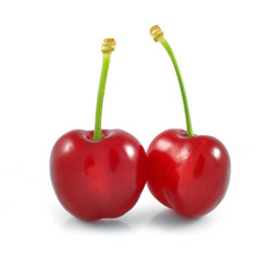Cerises fond blanc