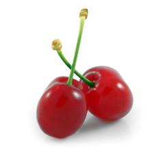 Cerises fond blanc