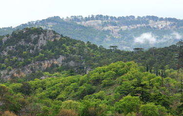 Fototapeta na wymiar Spring Mountain landscape .