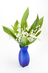 Bouquet of lilies-of-the-valley (Lilium convallium)