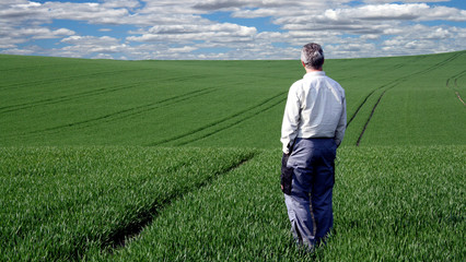 Bauer im Weizenfeld bis Horizont