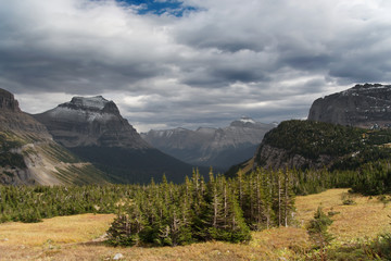 Glacier National Park: Logan Pass