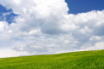 Green field and cloudy sky