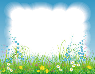 Background with the grass and flowers