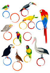 Obraz premium カラフルな鳥たち