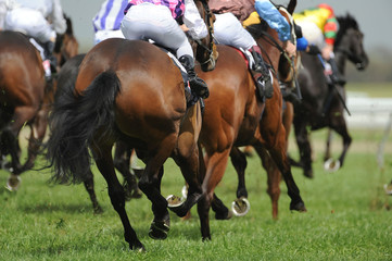 Horseracing