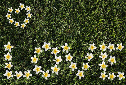 Flowers on a grass lay out a word love! A declaration of love