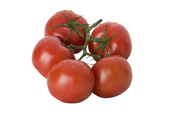 Bunch of tomatoes