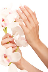 Hand and orchid