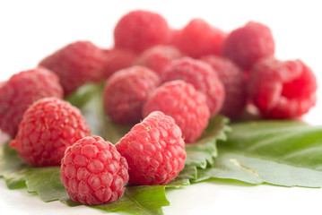 Raspberries - very shallow depth of field