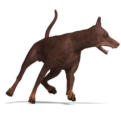 Doberman Dog. 3D rendering with clipping path and shadow over wh