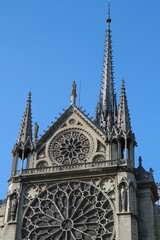 Fototapeta na wymiar Notre-dame, Parigi
