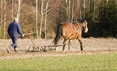 tillage