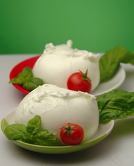 Mozzarelle di bufala