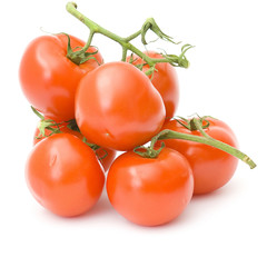 fresh tomatoes