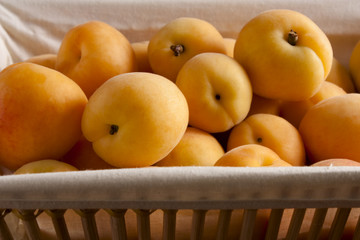 Apricots in a Basket