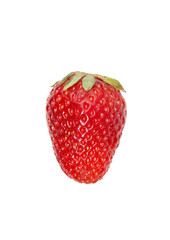 One strawberry