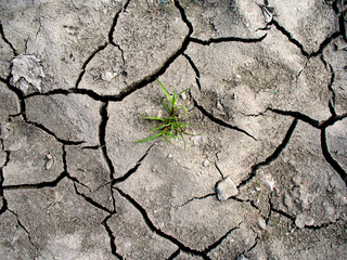 cracked earth