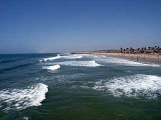 California Surf