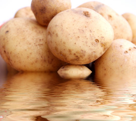 Fototapeta na wymiar kartoffeln