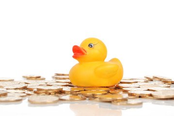 rubber duck on coins