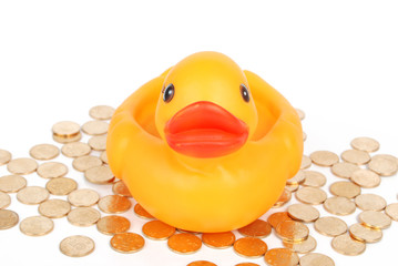 rubber duck on coins