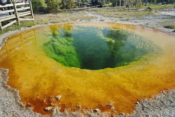 Morning glory pool, Yellowstone NP
