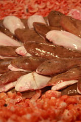 surowe ryby w krewetkach © elisabeth3