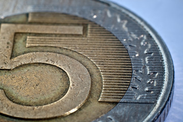 Macro close-up of polish zloty coin