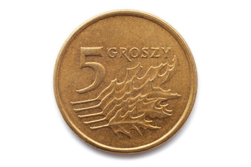 Macro close-up of polish 5 groszy coin