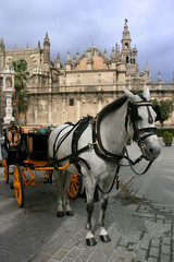 Fototapeta na wymiar Sevilla gotycka katedra z typowej kabiny koni