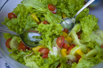 Grüner Salat