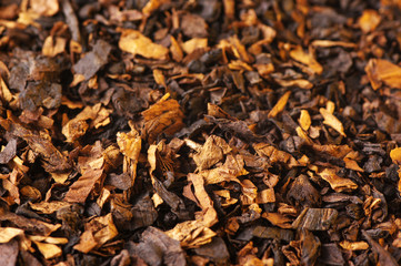 Tobacco as background