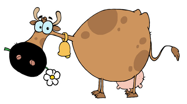 Brown Cow Eating A Daisy