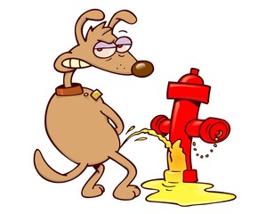 Dog urinating on a fire post