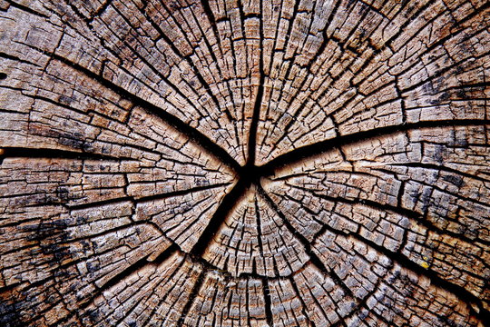 Holz-5225b1