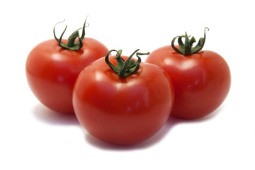 tomatoes isolated on white