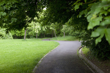 Path through the landscaped park