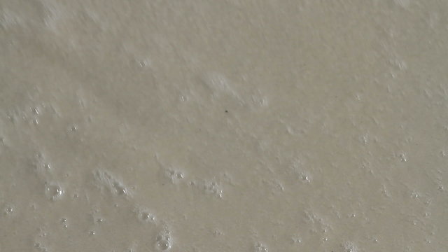 Starfish Washed Away