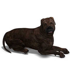 American Mastiff Dog. 3D rendering with clipping path and shadow