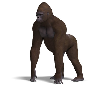 gorilla on all fours. 3D rendering with clipping path and shadow