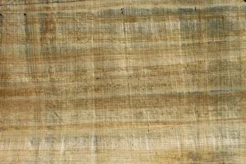Wandaufkleber Papyrus © Sublimages