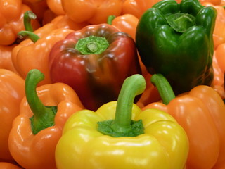 poivrons multicolores
